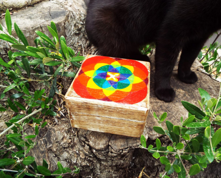 Box Wooden Flower of Life Seed of Life Symbol Handmade Trinket Chest Wicca Wiccan Magic Pagan Energy Painted Mango Tree Wood Eco Friendly