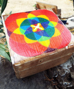 Box Wooden Flower of Life Seed of Life Symbol Handmade Trinket Chest Wicca Wiccan Magic Pagan Energy Painted Mango Tree Wood Eco Friendly