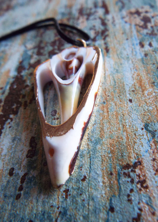 Real Shell Pendant Handmade Necklace Seashell Jewelry Beach Ocean Eco Friendly Summer