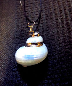 Real Spiral Shell Pendant Handmade Necklace Seashell Jewelry Beach Ocean Eco Friendly 2