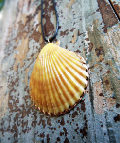 Seashell Pendant Scallop Shell Handmade Necklace Jewelry Beach Sea Ocean Summer Bohemian Mermaid Eco Friendly