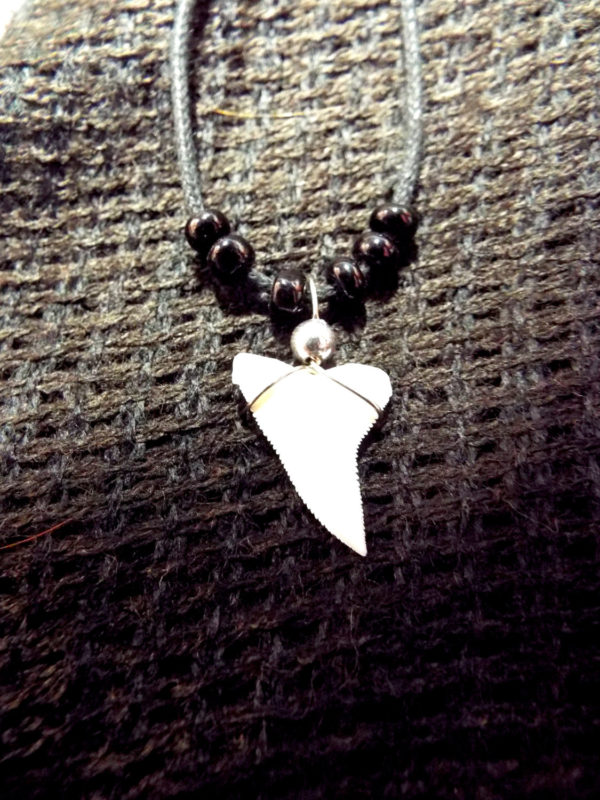 Shark Tooth Necklace Pendant Handmade Real Jewelry Sea Ocean Beach